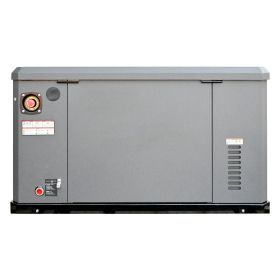 Standby Generator, Dual Fuel Whole Home Generator, LPG 22Kw Max Power & Natural Gas 20Kw Max Power, Whole House Power Backup For Home Backup, Camping