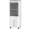 4-in-1 Evaporative Air Cooler with 12L Water Tank and 4 Ice Boxes