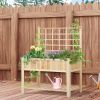 Elevated Garden Bed Wooden Planter Box for Vegetables Flowers with Shelf Outdoor Indoor